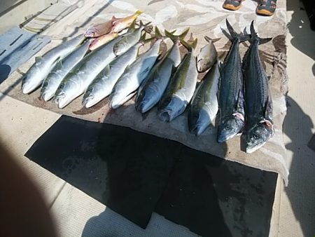 大物釣果速報！●光義丸：平戸市早福港