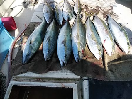 大物釣果速報！●光義丸：平戸市早福港