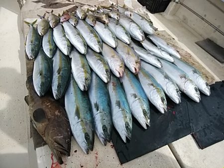 大物釣果速報！●光義丸：平戸市早福港