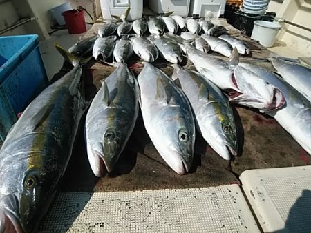 大物釣果速報！●光義丸：平戸市早福港