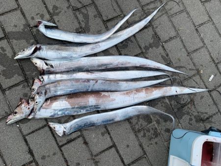 またまたメーター超え