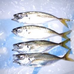 ラインをピンキーに変えてから調子良い！