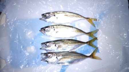 ラインをピンキーに変えてから調子良い！