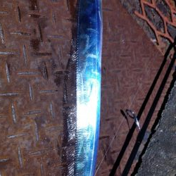 シーバス狙いがまたしても