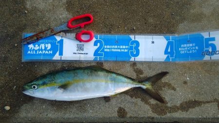 仕事前のモーニング