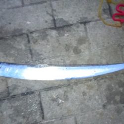 ようやく仕事帰りに太刀魚ゲット！