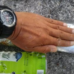 ハマチだらけ　　入れ食い