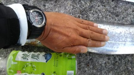 ハマチだらけ　　入れ食い