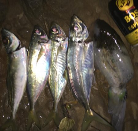 エギングアジング