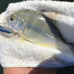 ランガンメッキ探し