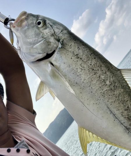 エリア鹿児島市ですが、奄美です