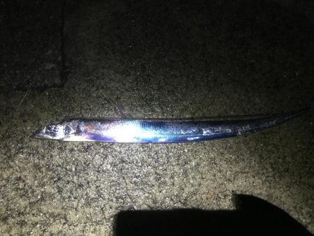 台風後神戸遠征