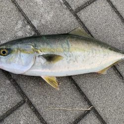 パターンが難しい