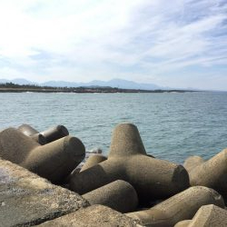 秋の堤防フカセ釣行