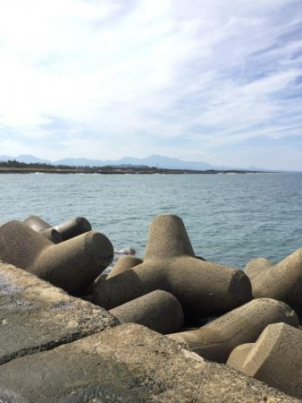 秋の堤防フカセ釣行