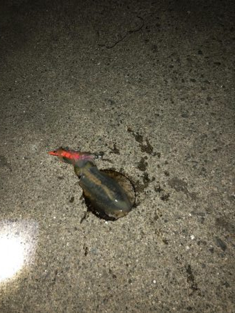 ラストのラストのラストで