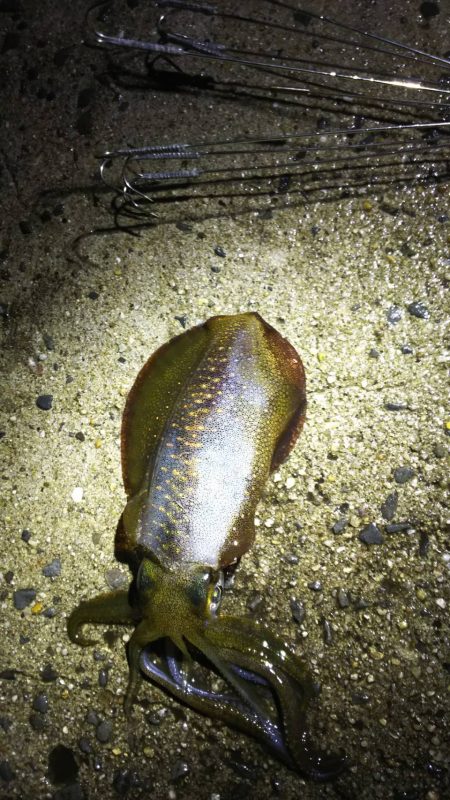 雨の中粘り勝ち