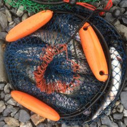 フライとルアー