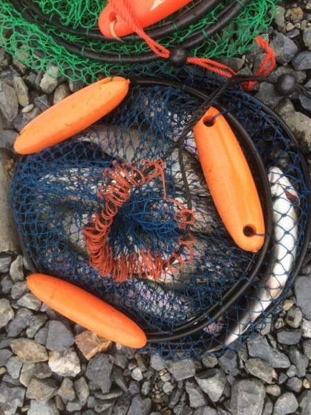 フライとルアー