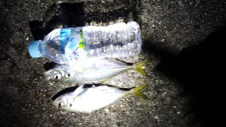 あじメバリング