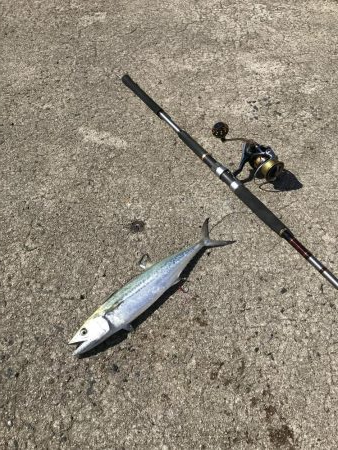 ウネリきつい中で