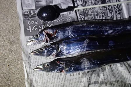 数はアップ、サイズはダウン