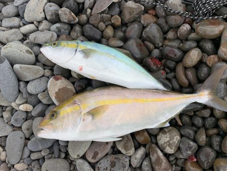 久しぶりに連れました