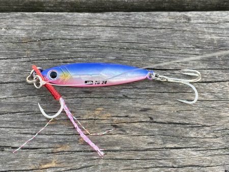 シーサイドコスモでハマチ