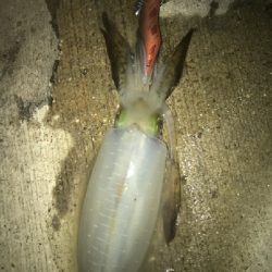 少し風ありました