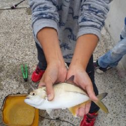 念願の奴が釣れた