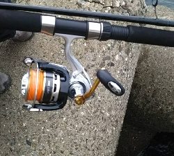 初ルアーで太刀魚！