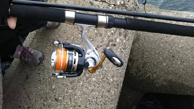 初ルアーで太刀魚！