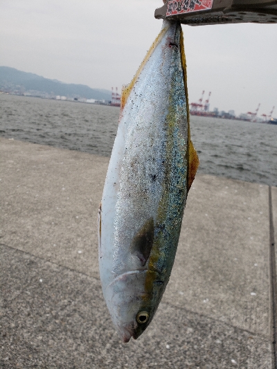 今年初、初、初!!!