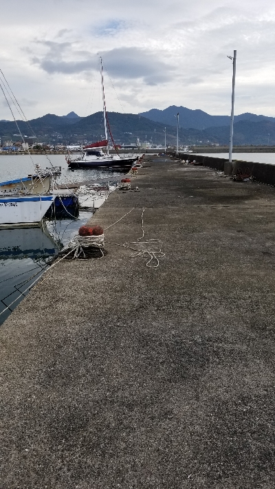 落としこみで、久しぶりチヌ