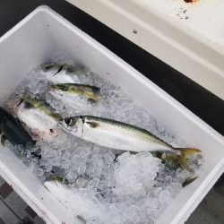 明石ジギング&タイラバ