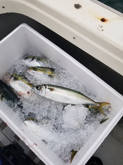 明石ジギング&タイラバ