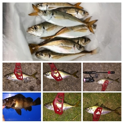 LSJigginger0755〜0845 アジンガー1900〜1935 2105〜2145