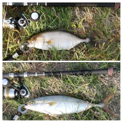 LSJiggnger0510〜0700 ア…