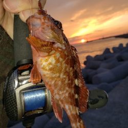 ビッグアコー!!!