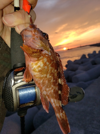 ビッグアコー!!!