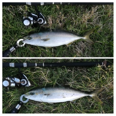 LSJigginger 0530〜0615…