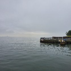 エビ撒き釣り調査