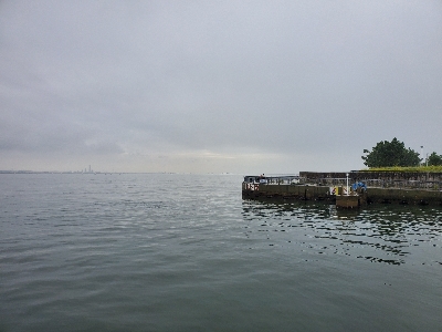 エビ撒き釣り調査