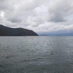 舞鶴湾のぬし！？