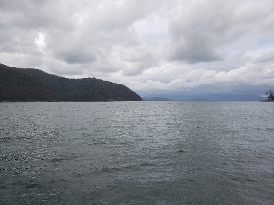 舞鶴湾のぬし！？