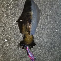 爆風の中なんとか❗