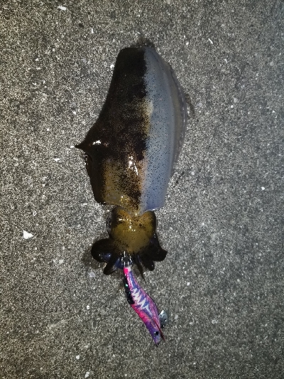 爆風の中なんとか❗