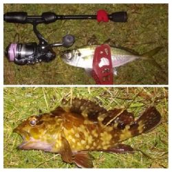 LSJigginger/アジンガー1705〜1910