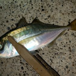 悪くないけれど