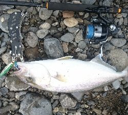 サーフライトショアジギング矢井賀